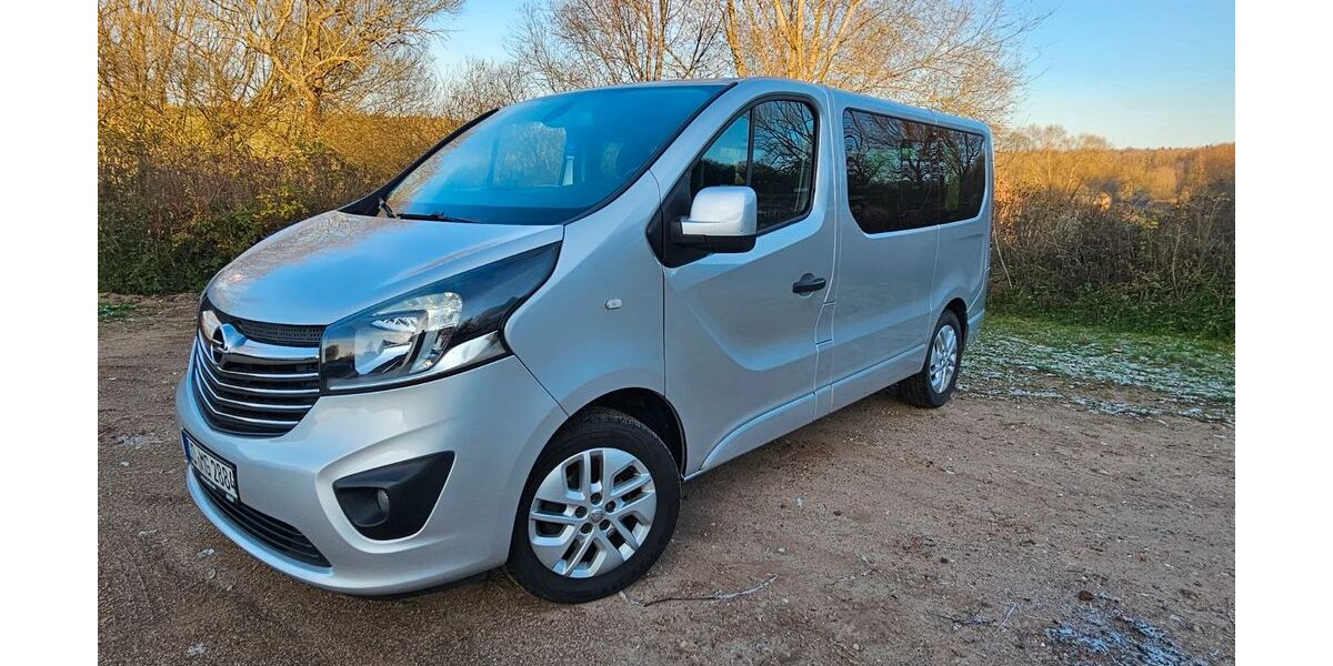 Opel Vivaro 152.483 km 12.999 &euro; Barnitz 23858