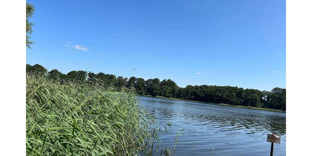 Grundstück zu verkaufen in Rohlstorf 699.000 € 5380 m² zimmer