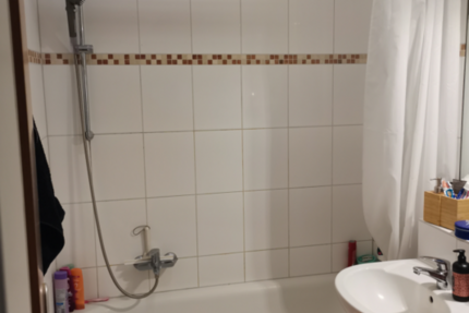 Wohnung Lübeck Sankt Lorenz Nord - 1 Zimmer, 32 m&sup2;, 356&euro; | Angebot:26800675