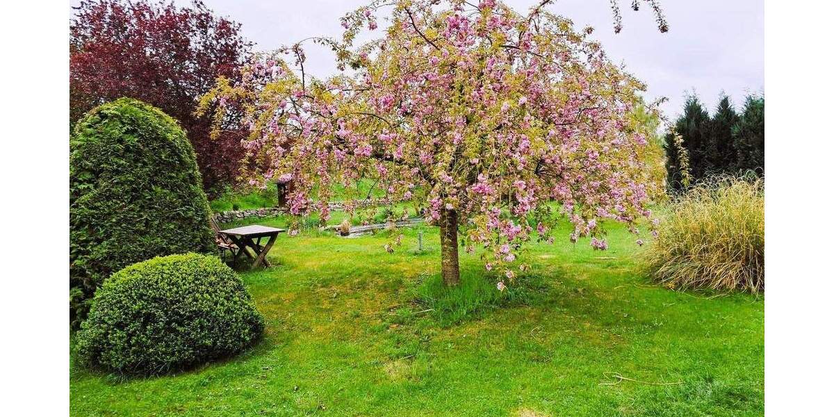 Einfamilienhaus Nordwestmecklenburg - Landkreis - Dassow Kaltenhof - 1 Zimmer, 360 m&sup2;, 450.000&euro; | Angebot:24972466