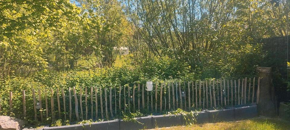 Erdgeschoßwohnung Scharbeutz Wulfsdorf - 3 Zimmer, 87 m&sup2;, 329.000&euro; | Angebot:27009478