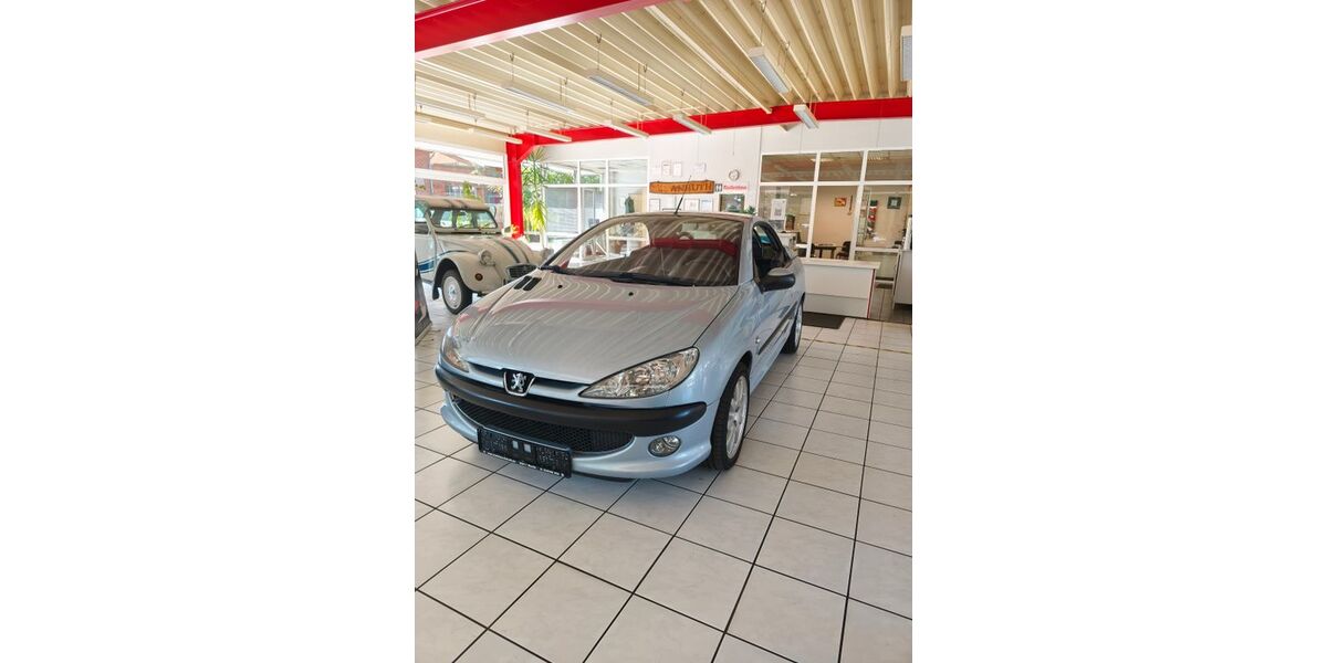 Peugeot 206 135.750 km 3.950 € Mustin 23911