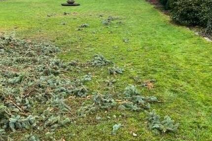 Grundstück Bad Schwartau - 169.000&euro; | Angebot:25705833