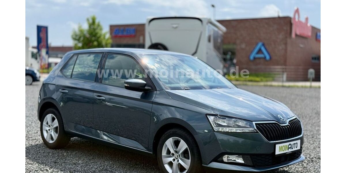 Skoda Fabia 32.500 km 13.490 &euro; Reinfeld 23858