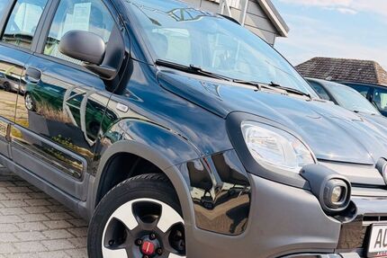 Fiat Panda 46.500 km 9.889 &euro; Stepenitztal 23936