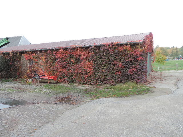 Bauernhaus mit 3 WE in 23923 Menzendorf