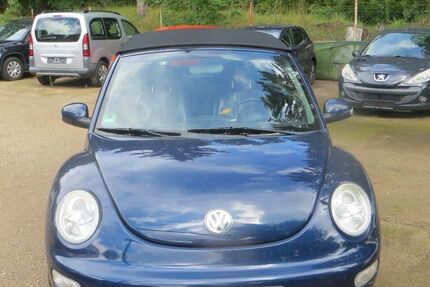 VW New Beetle