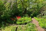 Nostalgisches Reetdach Anwesen mit viel Platz und Natur