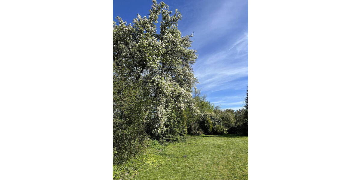 Mehrfamilienhaus, Wohnhaus Wentorf Amt Sandesneben (Kreis Lauenburg) Bullenhorst - 1 Zimmer, 374 m&sup2;, 795.000&euro; | Angebot:26188602
