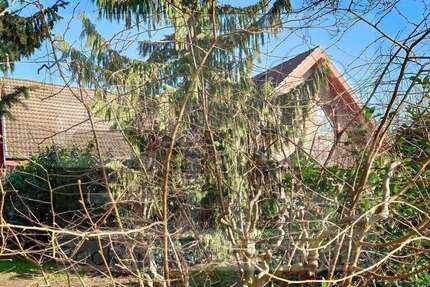 Haus Ratekau - 9 Zimmer, 270 m&sup2;, 698.000&euro; | Angebot:26629485
