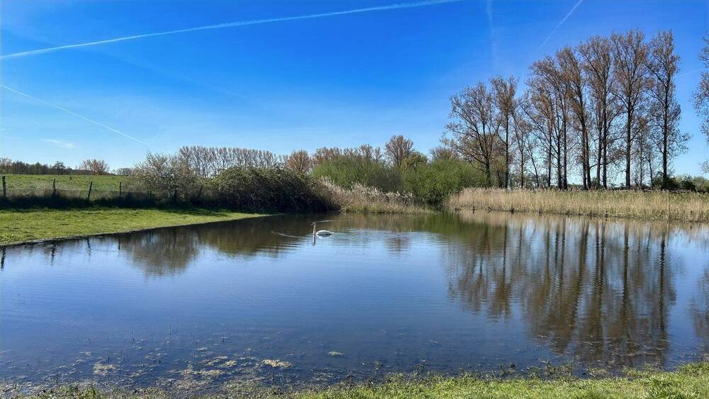 Doppelhaushälfte Dassow Prieschendorf - 4 Zimmer, 85 m&sup2;, 179.000&euro; | Angebot:26499734
