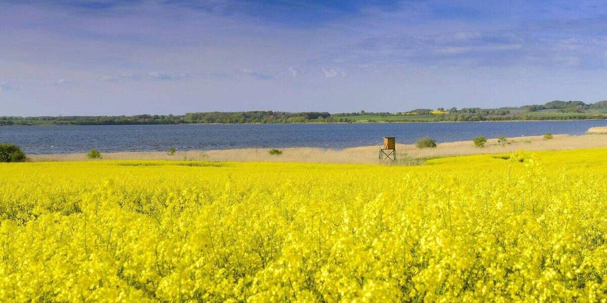 Einfamilienhaus Nordwestmecklenburg - Landkreis - Dassow Kaltenhof - 4 Zimmer, 134 m&sup2;, 467.240&euro; | Angebot:25938459