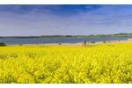 Einfamilienhaus Nordwestmecklenburg - Landkreis - Dassow Kaltenhof - 4 Zimmer, 134 m&sup2;, 467.240&euro; | Angebot:25938459