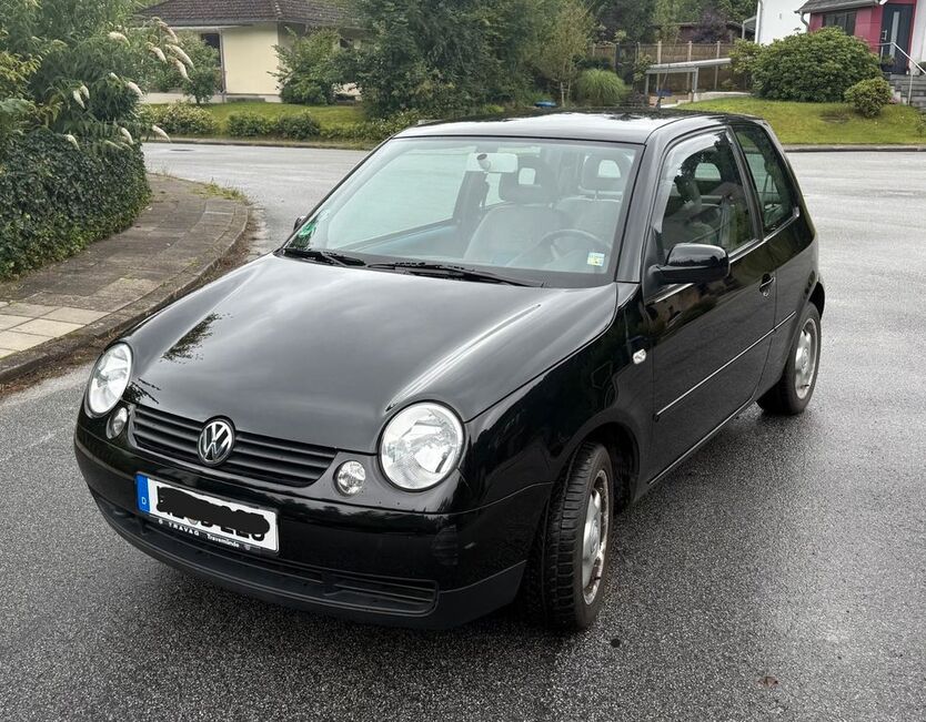 Lupo