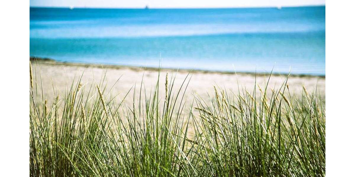 Grundstück Nordwestmecklenburg - Landkreis - Dassow Dassow - 1.950.000&euro; | Angebot:27033363