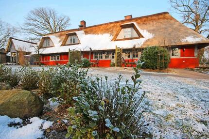 Wohnung Wensin - 1 Zimmer, 28 m&sup2;, 580&euro; | Angebot:24857465