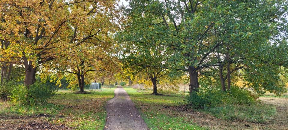 Schönes EFH St. Jürgen 206qm nahe LSG 7 zimmer