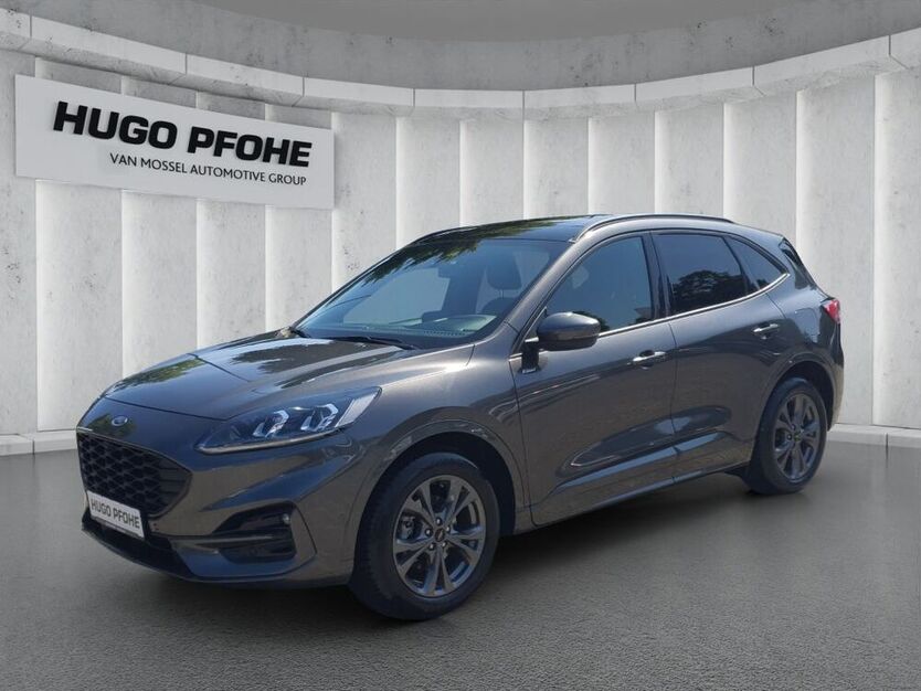 Kuga