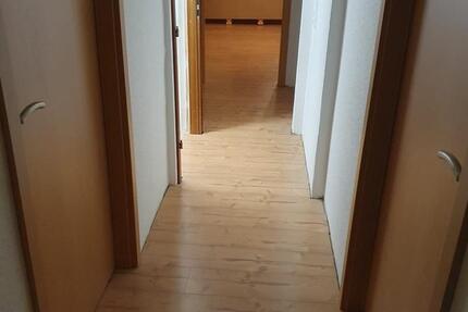 3 Zimmerwohnung 3 zimmer