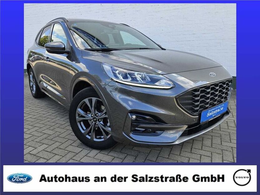 Kuga