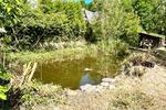 Charmante DHH mit großem Grundstück u Schwimmteich Lübeck Siems
