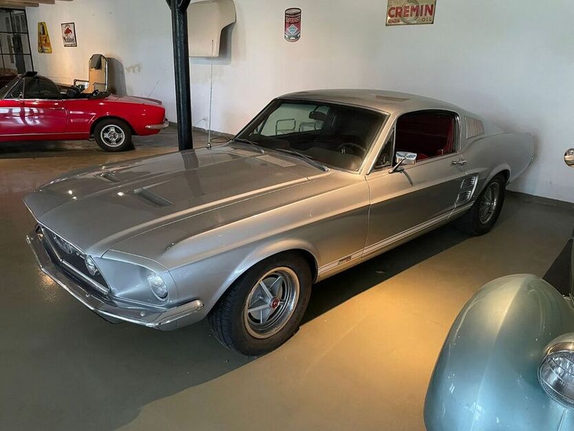 Mustang