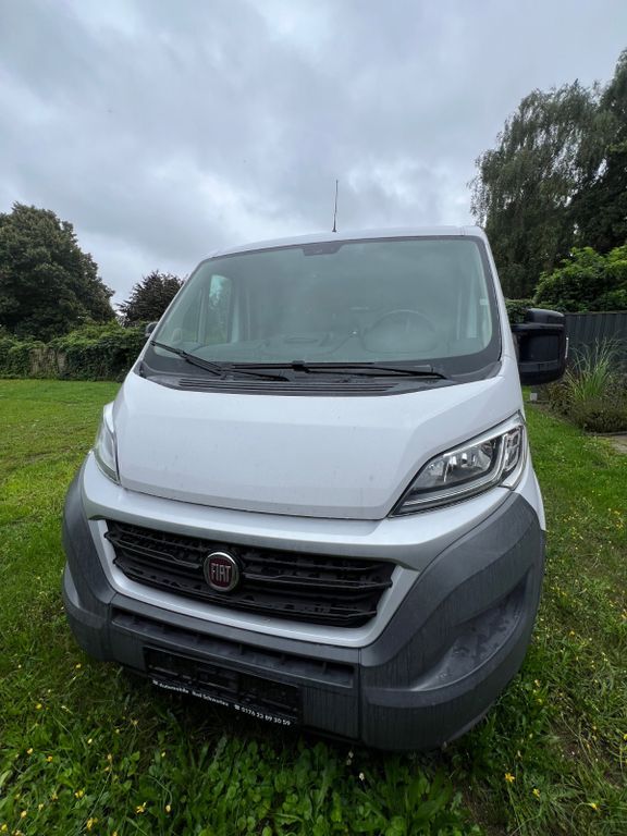 Ducato