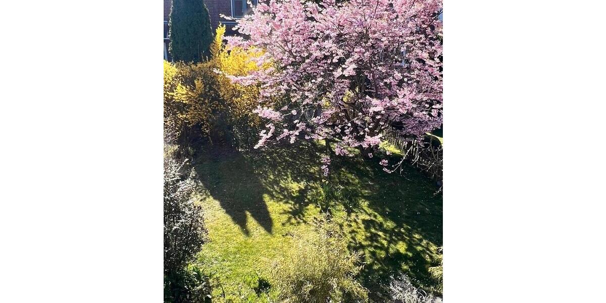 Reihenhaus Lübeck Alt-Travemünde / Rönnau - 4 Zimmer, 106 m&sup2;, 1.570&euro; | Angebot:26321826