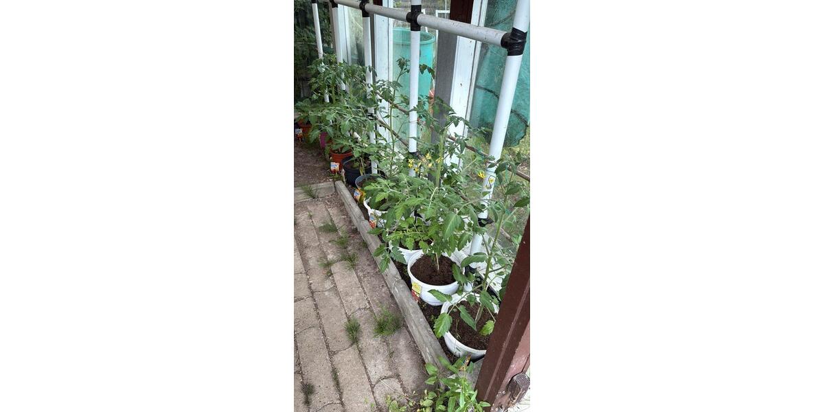 Grundstück Lübeck Sankt Lorenz Nord - 900&euro; | Angebot:26491570