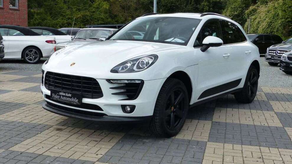 Macan