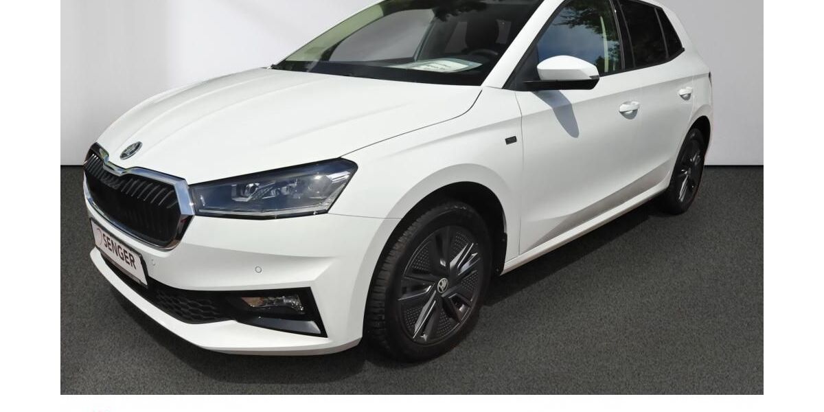 Skoda Fabia 16.600 km 19.990 &euro; Bad Schwartau 23611