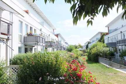 Wohnung zum Mieten in Travemünde 488 € 34.4 m² 2 zimmer