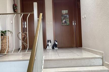 Vermietete 2 Zimmer ETW. 65 qm in guter Lage in Bad Schwartau 2 zimmer