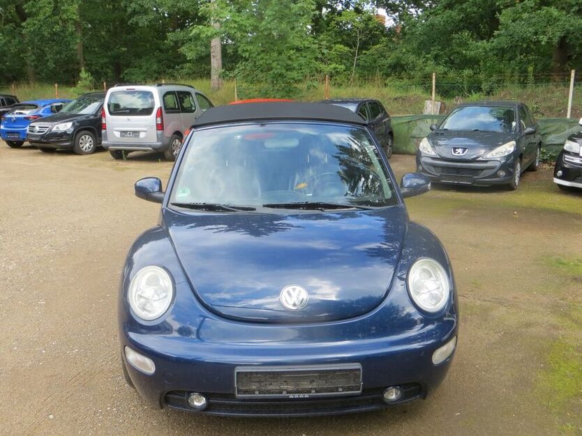 New Beetle