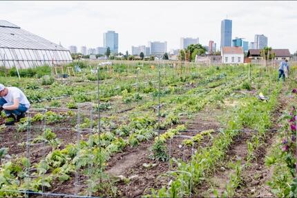 Grundstück Lübeck Alt-Travemünde / Rönnau - 250&euro; | Angebot:24628721