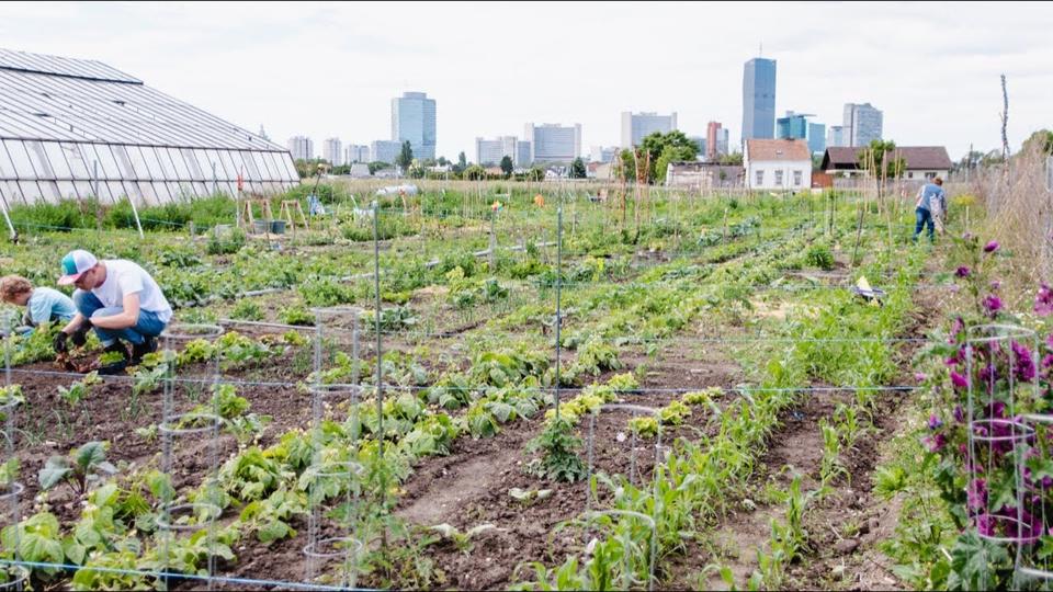 Grundstück Lübeck Alt-Travemünde / Rönnau - 250&euro; | Angebot:24628721