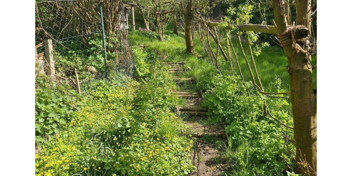 Dachgeschoßwohnung Lüdersdorf - 3 Zimmer, 70 m&sup2;, 1.095&euro; | Angebot:26326840