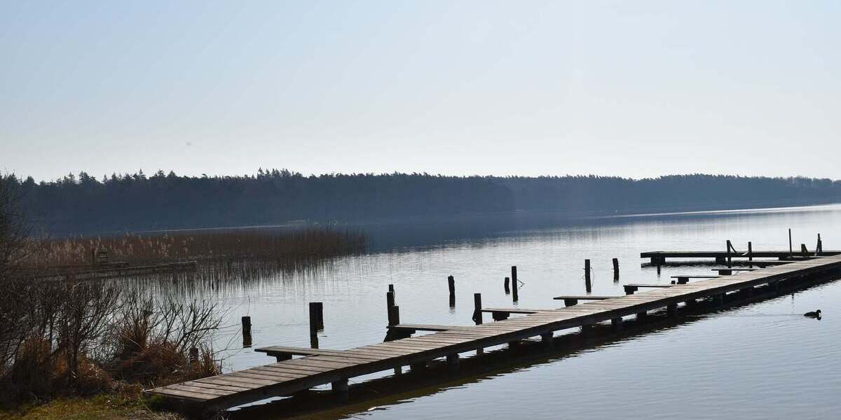 Gewerbeobjekt Seedorf - 1 Zimmer, 1.800.000&euro; | Angebot:19348593