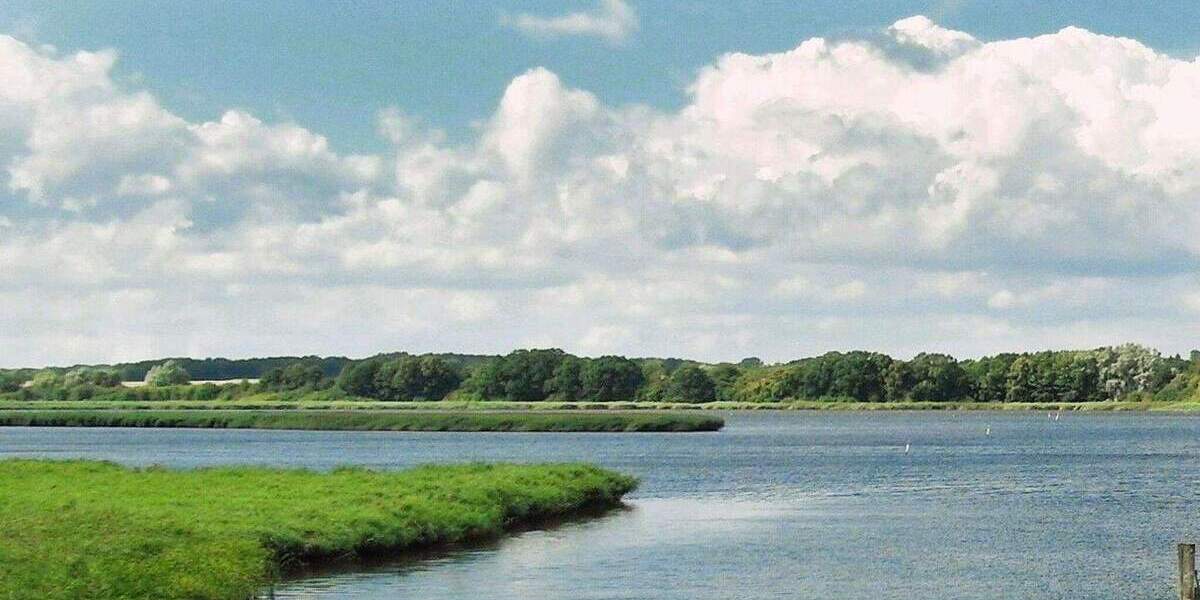 Grundstück Nordwestmecklenburg - Landkreis - Dassow Kaltenhof - 450.000&euro; | Angebot:25425078