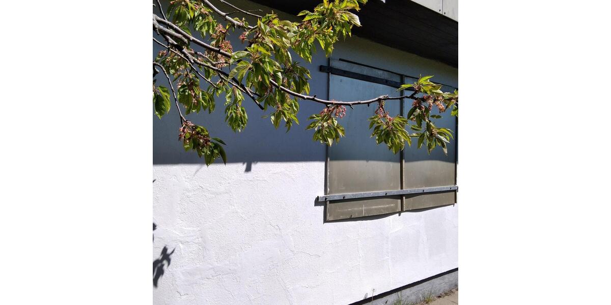 Grundstück Lübeck Sankt Lorenz Nord - 3.500&euro; | Angebot:26561588