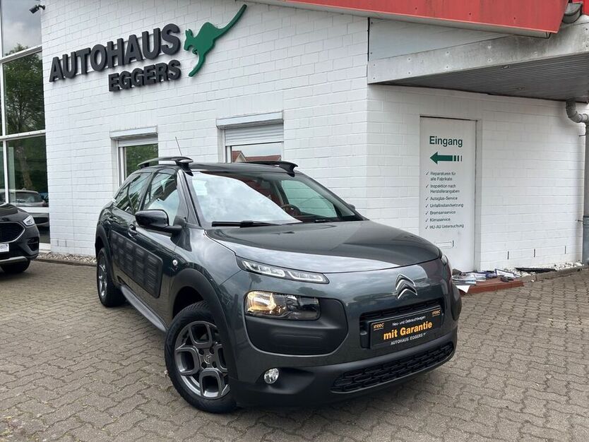 C4 Cactus