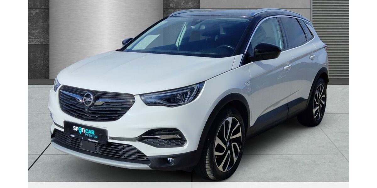 Opel Grandland (X) 90.590 km 16.590 &euro; Wesenberg 23858