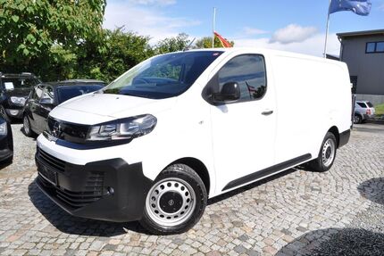 Opel Vivaro 8.000 km 23.980 &euro; Ahrensbök 23623