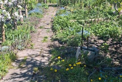 Grundstück Lübeck Sankt Lorenz Nord - 900&euro; | Angebot:26595181