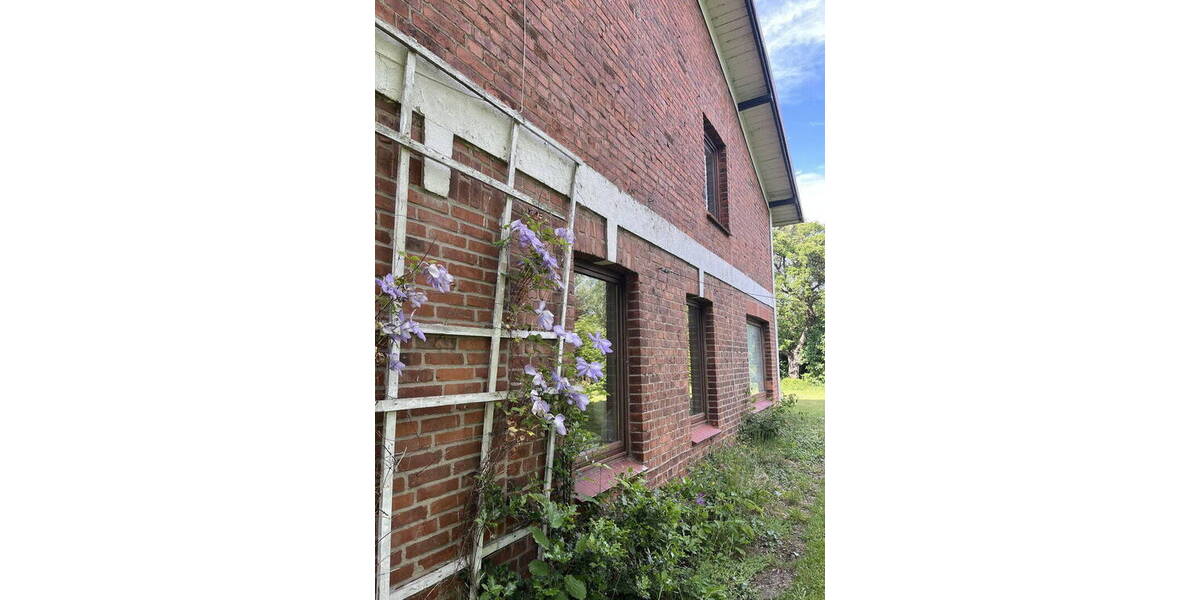 Mehrfamilienhaus, Wohnhaus Wentorf Amt Sandesneben (Kreis Lauenburg) Bullenhorst - 1 Zimmer, 374 m&sup2;, 795.000&euro; | Angebot:26188602