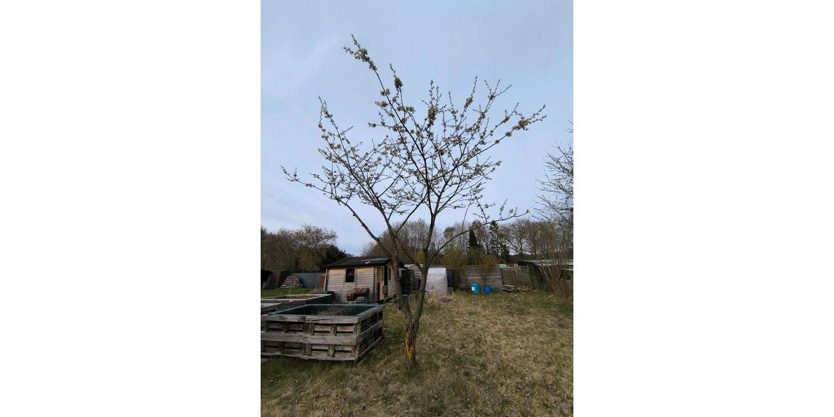 Grundstück Lübeck Sankt Lorenz Nord - 3.300&euro; | Angebot:26337747