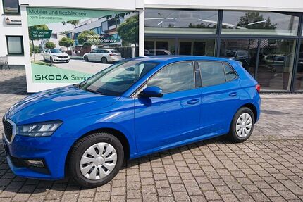 Skoda Fabia 20.097 km 17.350 &euro; Stepenitztal OT Mallentin 23936