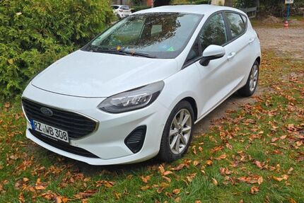 Ford Fiesta 124.000 km 11.500 &euro; Berkenthin 23919
