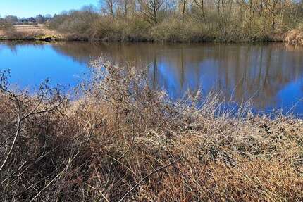 Haus zum Kaufen in Sereetz 550.000 € 150 m² 5 zimmer