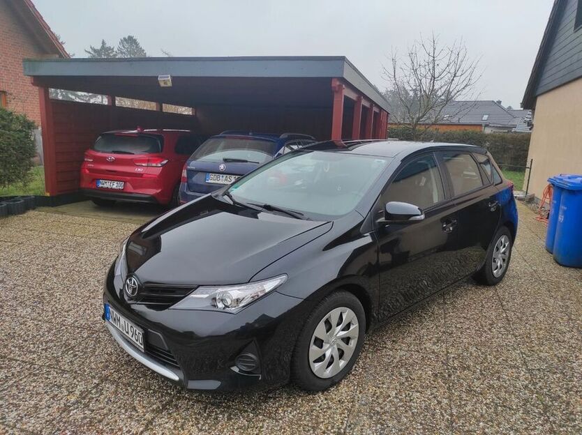 Auris